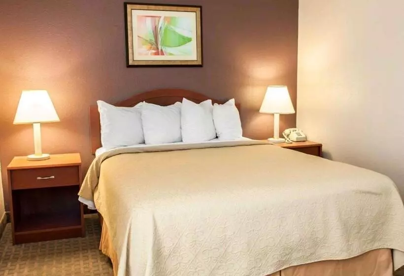 ホテル Quality Inn And Suites Indianapolis