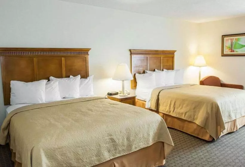 ホテル Quality Inn And Suites Indianapolis