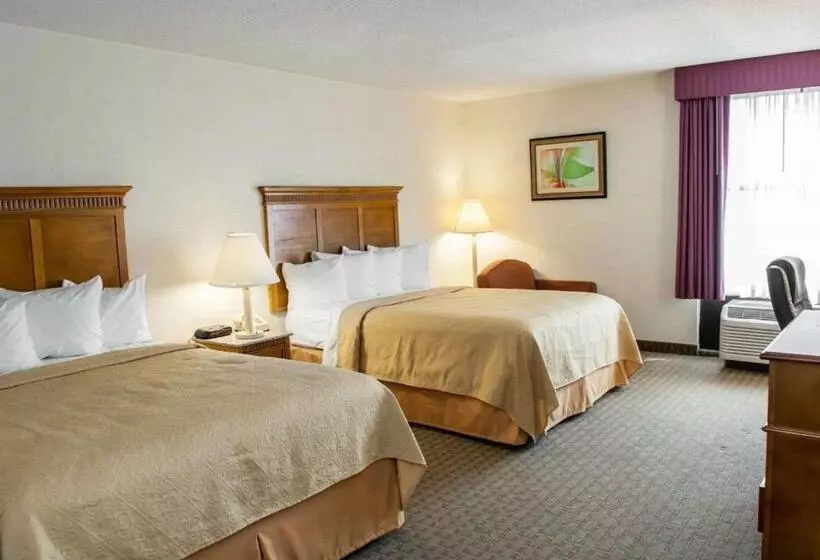 ホテル Quality Inn And Suites Indianapolis