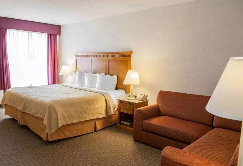 ホテル Quality Inn And Suites Indianapolis