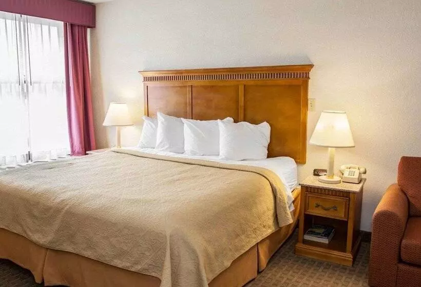 ホテル Quality Inn And Suites Indianapolis