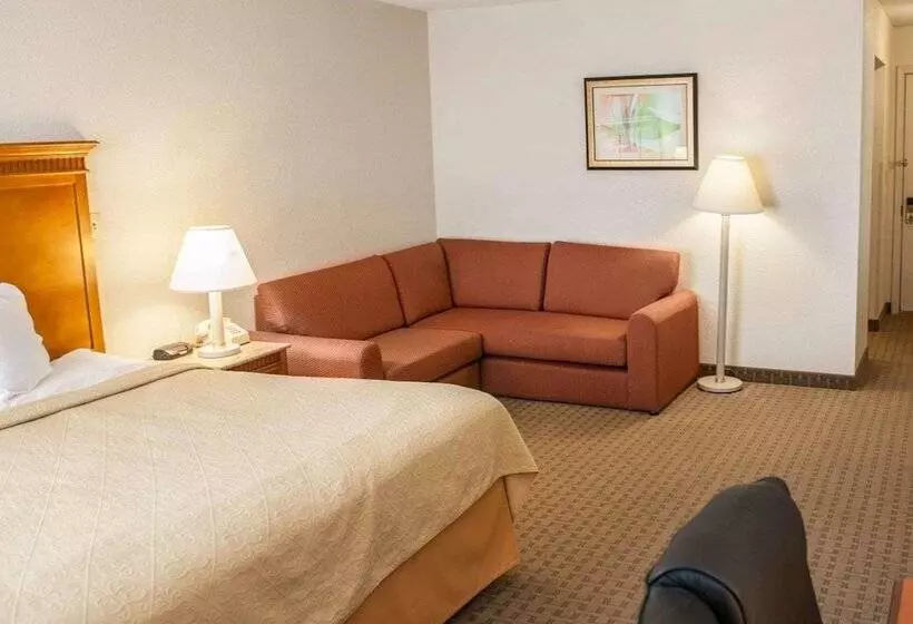 ホテル Quality Inn And Suites Indianapolis