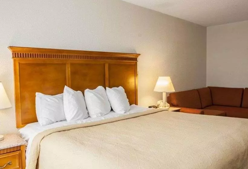 ホテル Quality Inn And Suites Indianapolis
