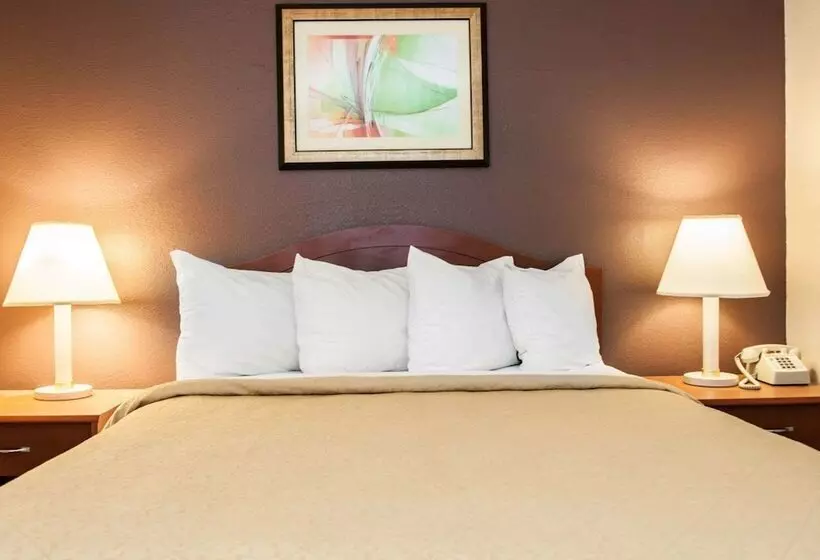 ホテル Quality Inn And Suites Indianapolis