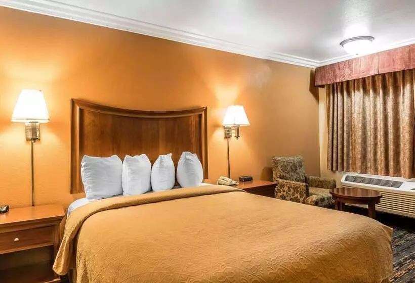 酒店 Quality Inn Lake Elsinore I 15