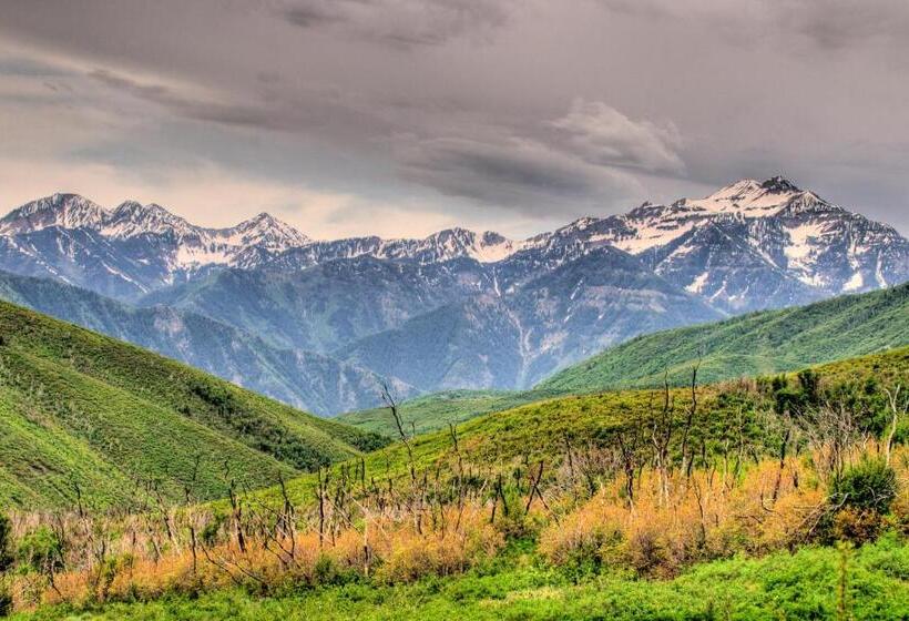 هتل The Lodge At The Mountain Village