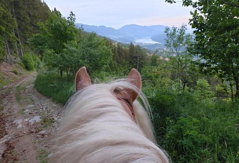 ペンション Berggasthof Karlbauer