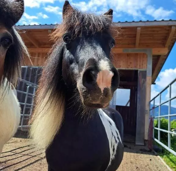 Majatalo Berggasthof Karlbauer