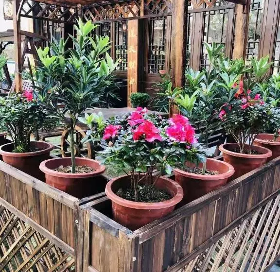 ホテル Floral  Fenghuang Feng Xue Ye Gui Ren