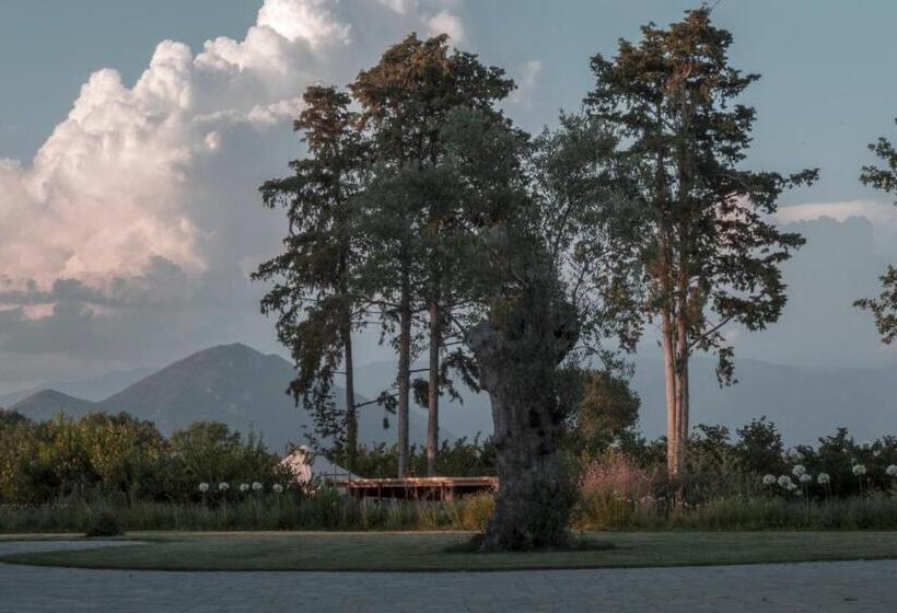 בית מלון כפרי I Cacciagalli Wine Resort