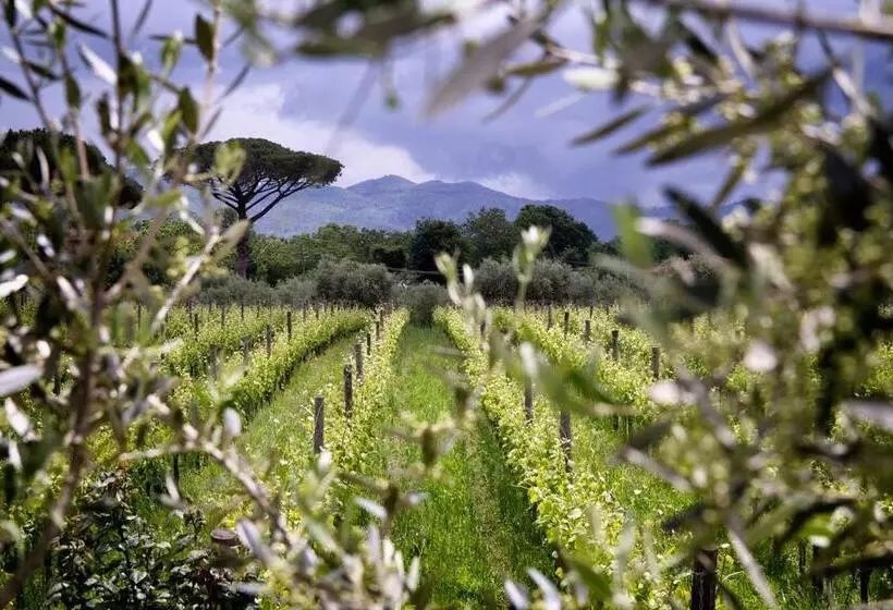 ホテル I Cacciagalli Wine Resort