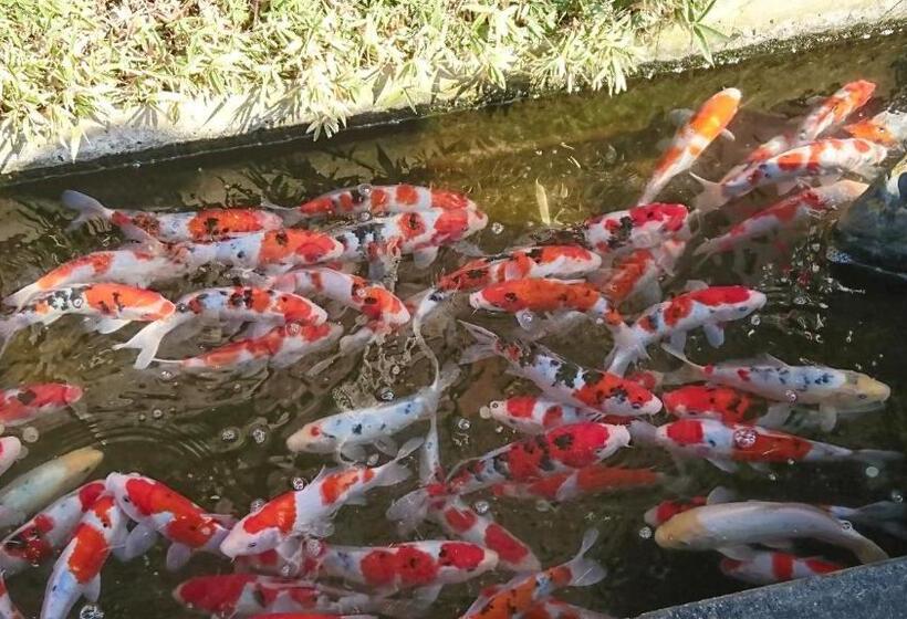 فندق Tsuki No Yado Kaguya