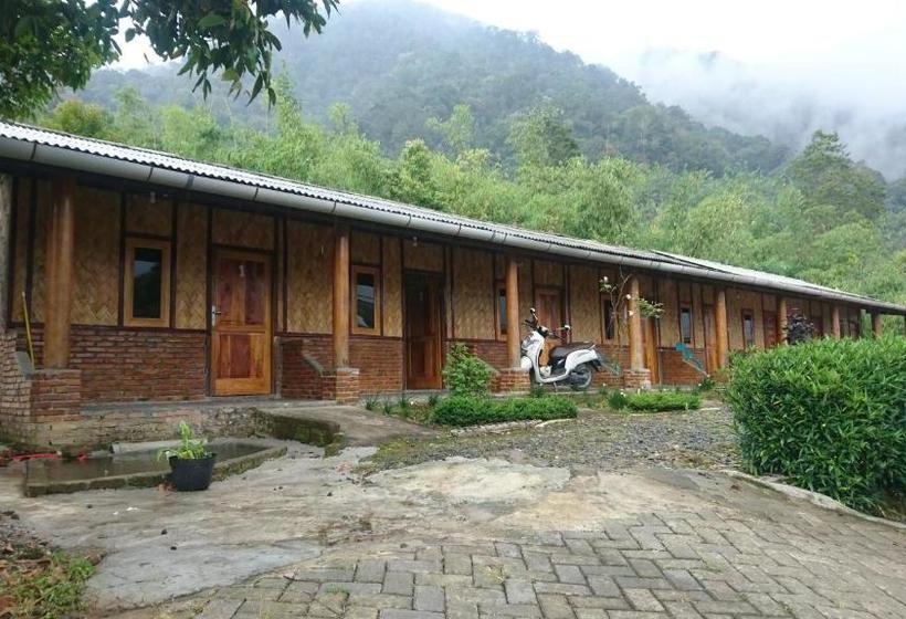 פנסיון Penginapan Gambo