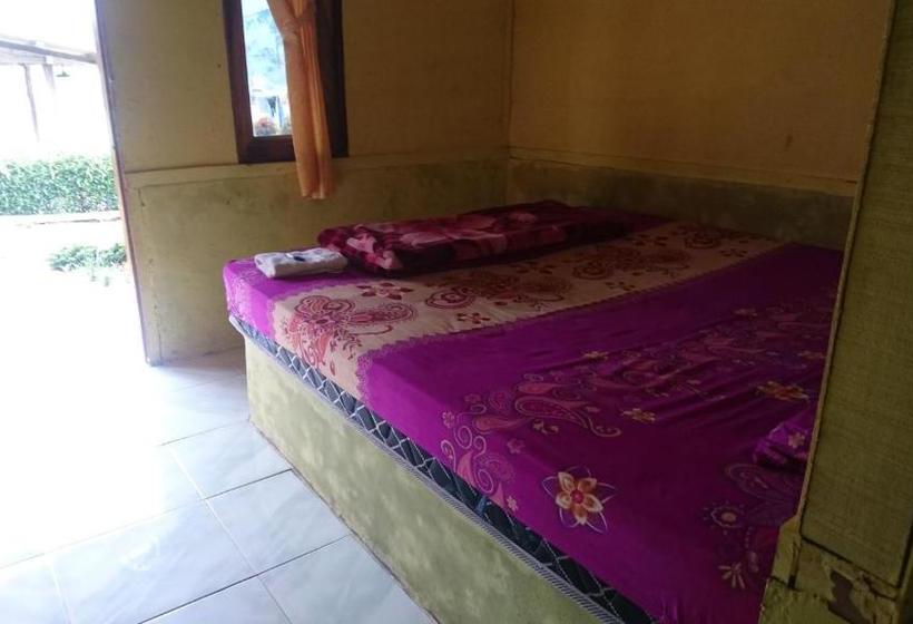 פנסיון Penginapan Gambo