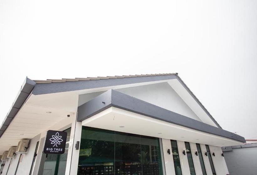 Hotel Big Tree Boutique