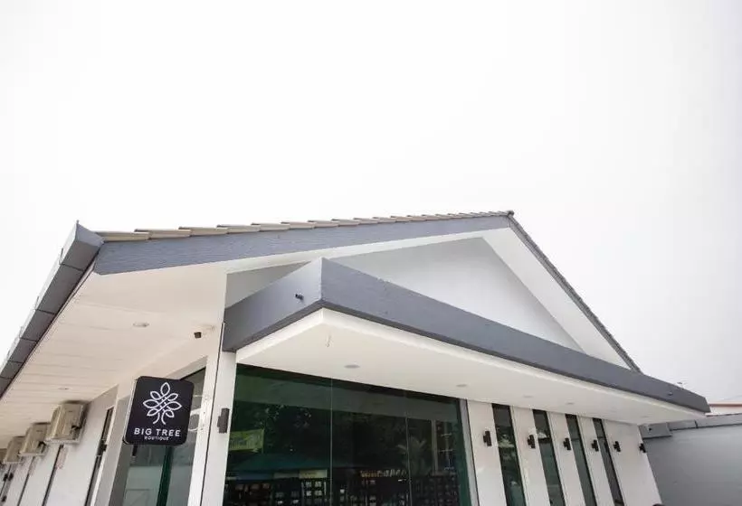 Hotel Big Tree Boutique
