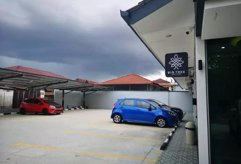 Hotel Big Tree Boutique