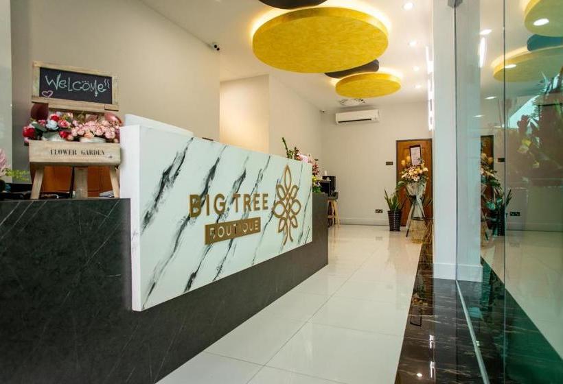 Hotel Big Tree Boutique