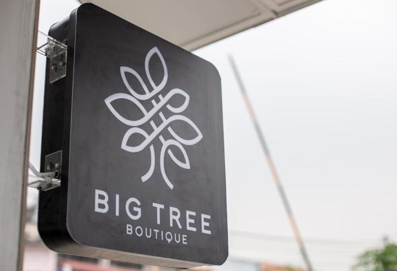 Hotel Big Tree Boutique