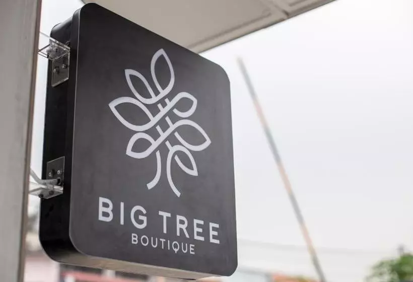 Hotel Big Tree Boutique