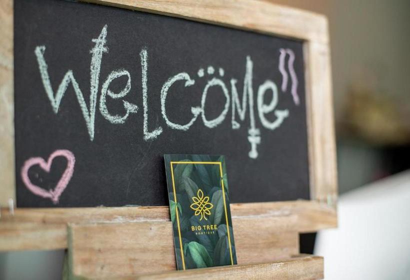 Hotel Big Tree Boutique