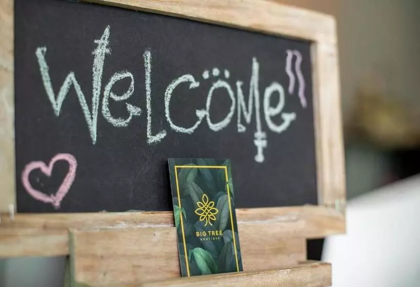 Hotel Big Tree Boutique