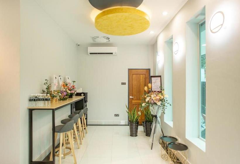 Hotel Big Tree Boutique