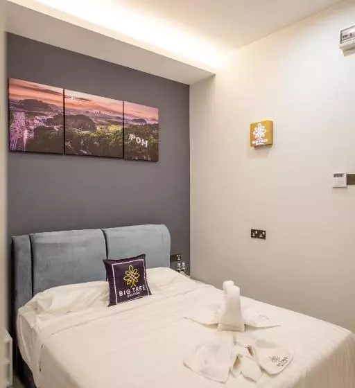 Hotel Big Tree Boutique