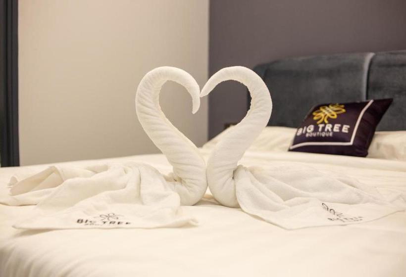 Hotel Big Tree Boutique