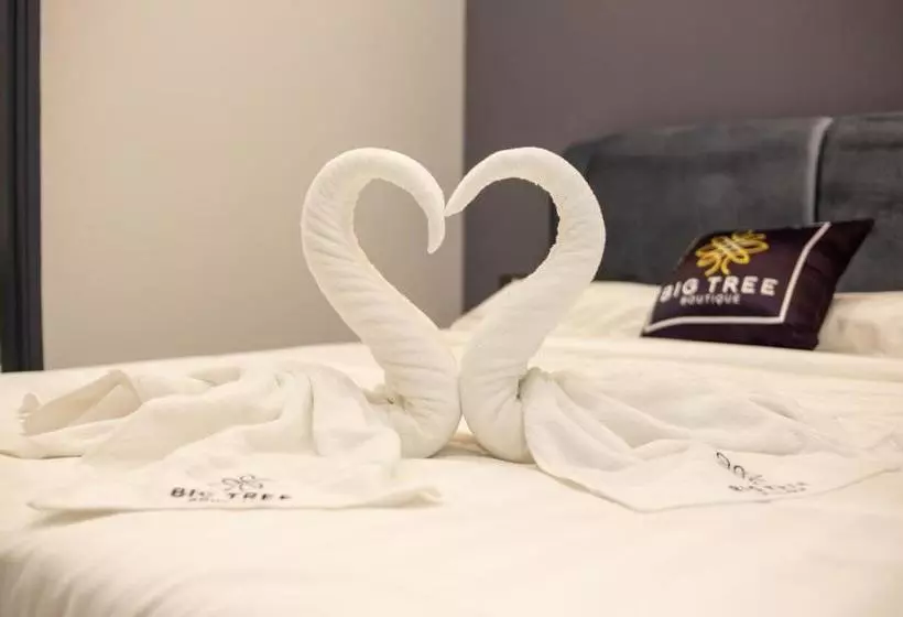 Hotel Big Tree Boutique