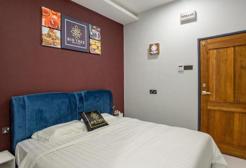 Hotel Big Tree Boutique