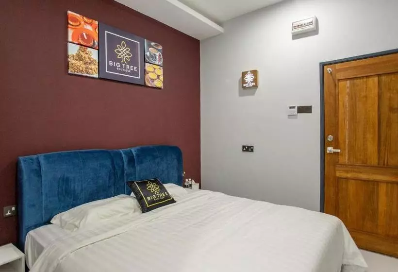 Hotel Big Tree Boutique