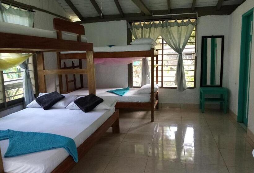 Hotel Cabañas Los Almendros