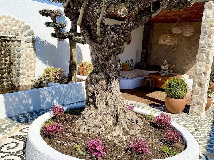 Casa De Oro Alma