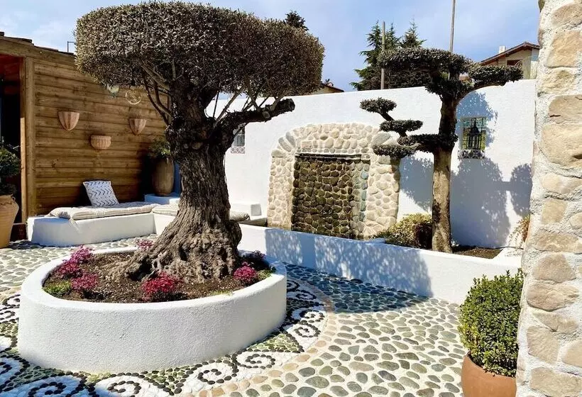 Casa De Oro Alma