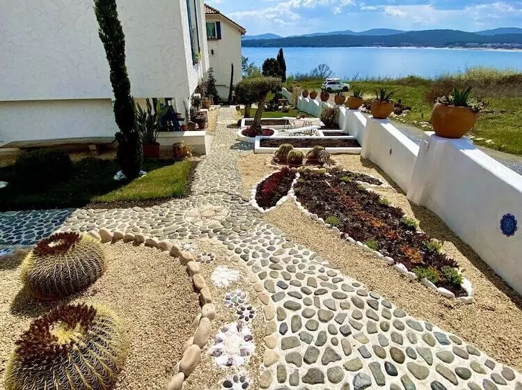 Casa De Oro Alma