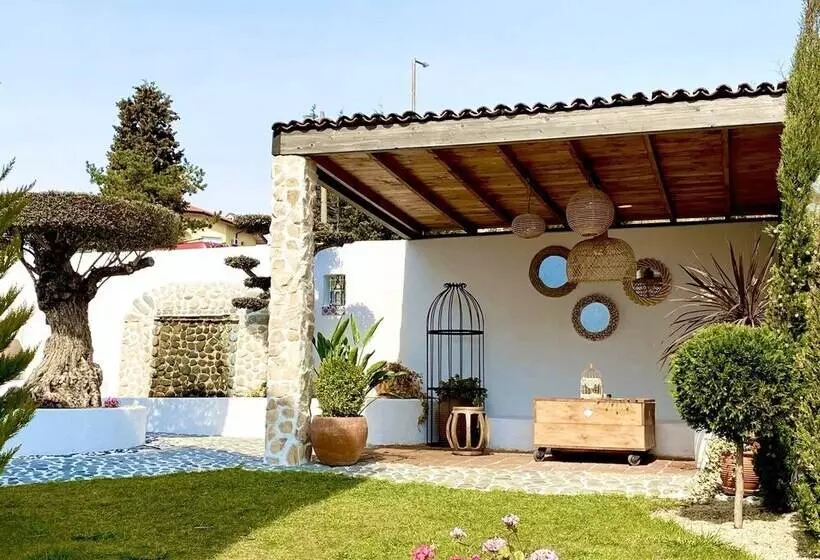 Casa De Oro Alma