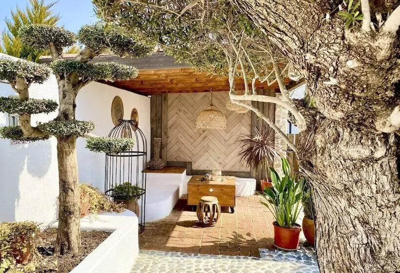 Casa De Oro Alma