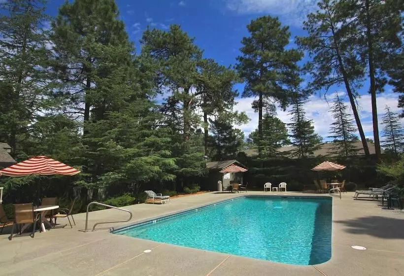 ホテル Majestic Mountain Inn