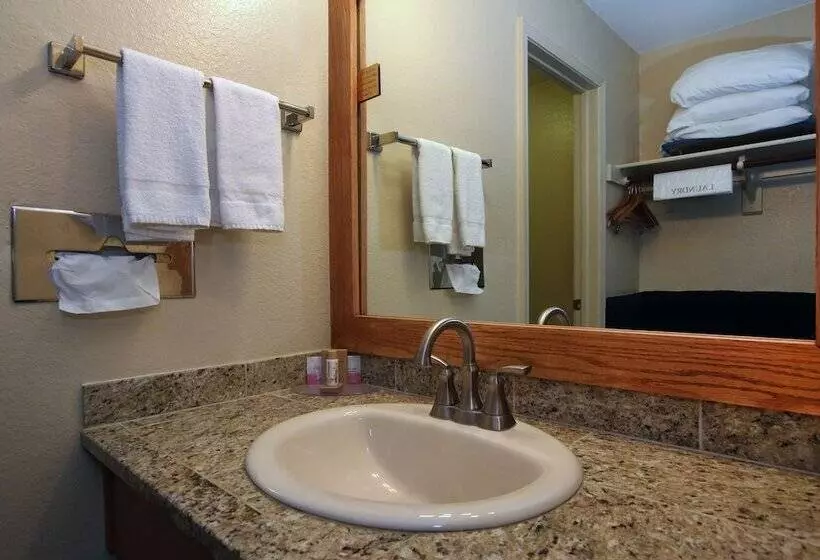 ホテル Majestic Mountain Inn