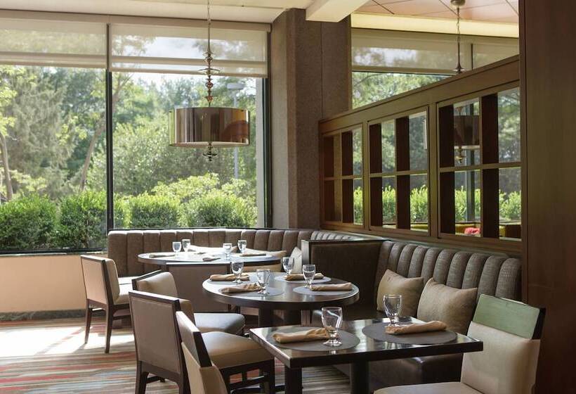 فندق Washington Dulles Marriott Suites