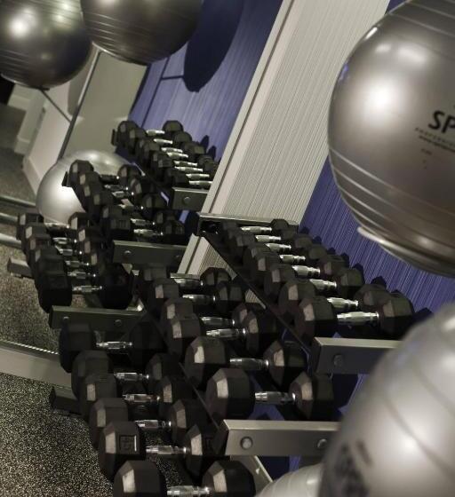 فندق Washington Dulles Marriott Suites