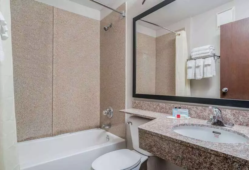 Microtel Inn & Suites By Wyndham Rochester North Mayo Clinic