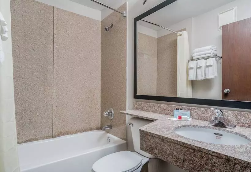 Microtel Inn & Suites By Wyndham Rochester North Mayo Clinic