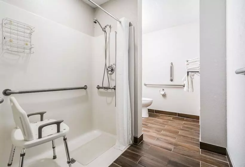 Microtel Inn & Suites By Wyndham Rochester North Mayo Clinic