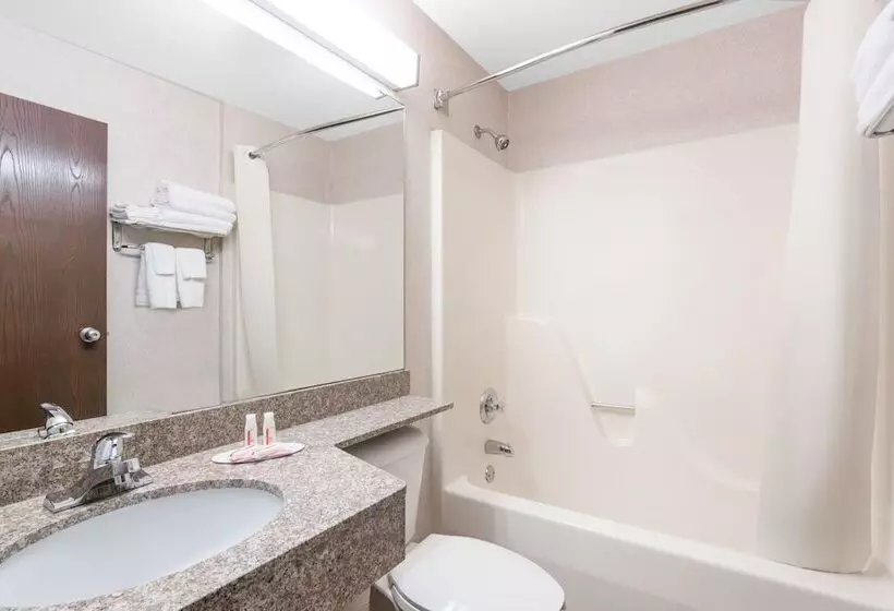 Microtel Inn & Suites By Wyndham Rochester North Mayo Clinic