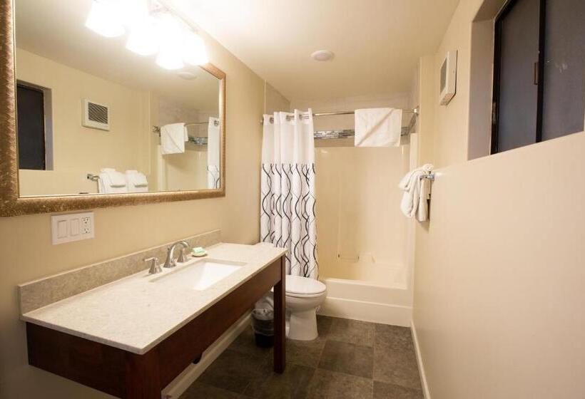 Moonlight Beach Motel