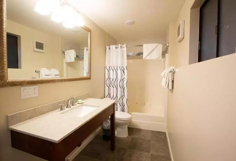 Moonlight Beach Motel