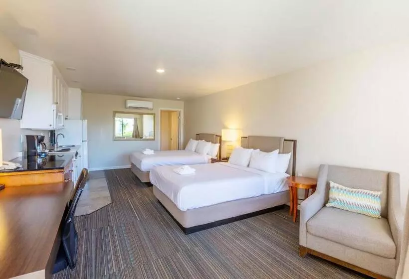 Moonlight Beach Motel