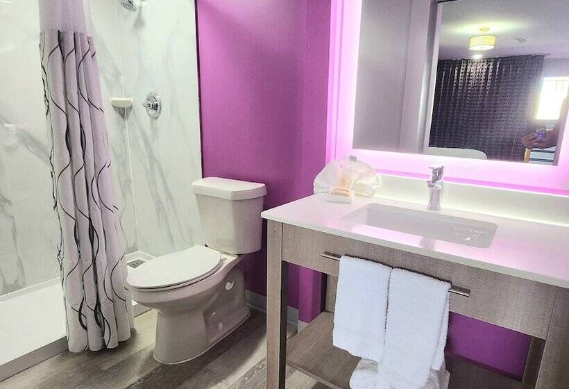 Motel 6 Tuscaloosa Al University